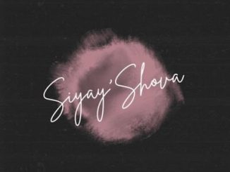 LeeMcKrazy – Siyay’Shova ft Springle, Pushkin & Musical Soulz