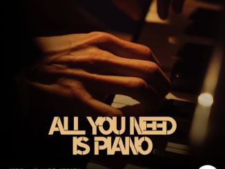 Musical Acid – All You Need Is Piano 014
