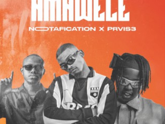 Notafication – Amawele ft PRVIS3 & Loki.