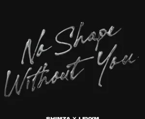 Shimza – No Shape Without You ft LevyM