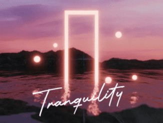 EP: SirRoonieTheDJ – Tranquility
