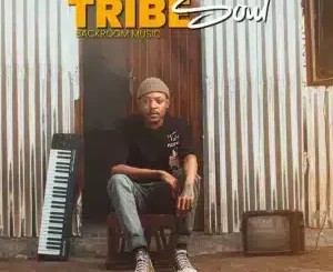 TribeSoul – Dlala