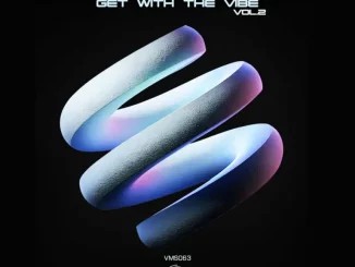ALBUM: VA – Get with the Vibe, Vol. 2