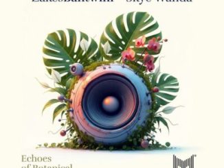 Zakes Bantwini­ – Phezulu­­ ft Skye Wanda