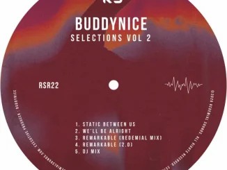 EP: Buddynice – Selections Vol. 2
