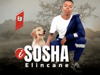Sosha elincane – Van Dam
