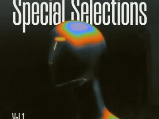 ALBUM: VA – Special Selections, Vol. 1