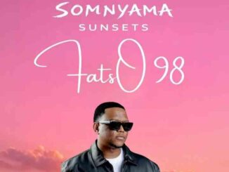 Fatso 98 – Somnyama Sunsets 014 (Deep House Mix)