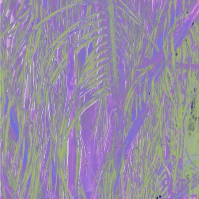 Omagoqa, Sizwe Alakine & K.Keed ft JEPEDOH, Mvelo Makhanya & Ms. Cosmo – Jumanji