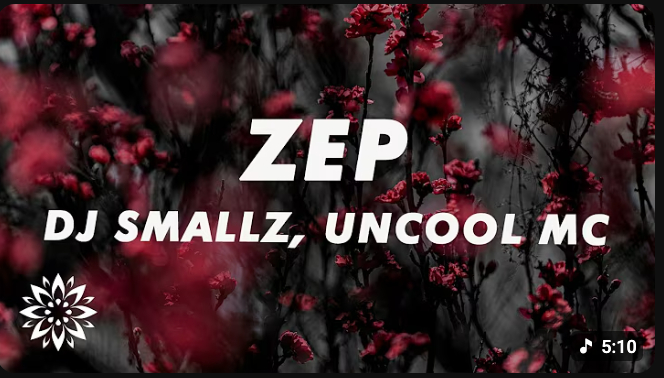 DJ Smallz – ZEP (Lyrics) ft. Zinedine x Sguche & 031 Choppa, Uncool MC